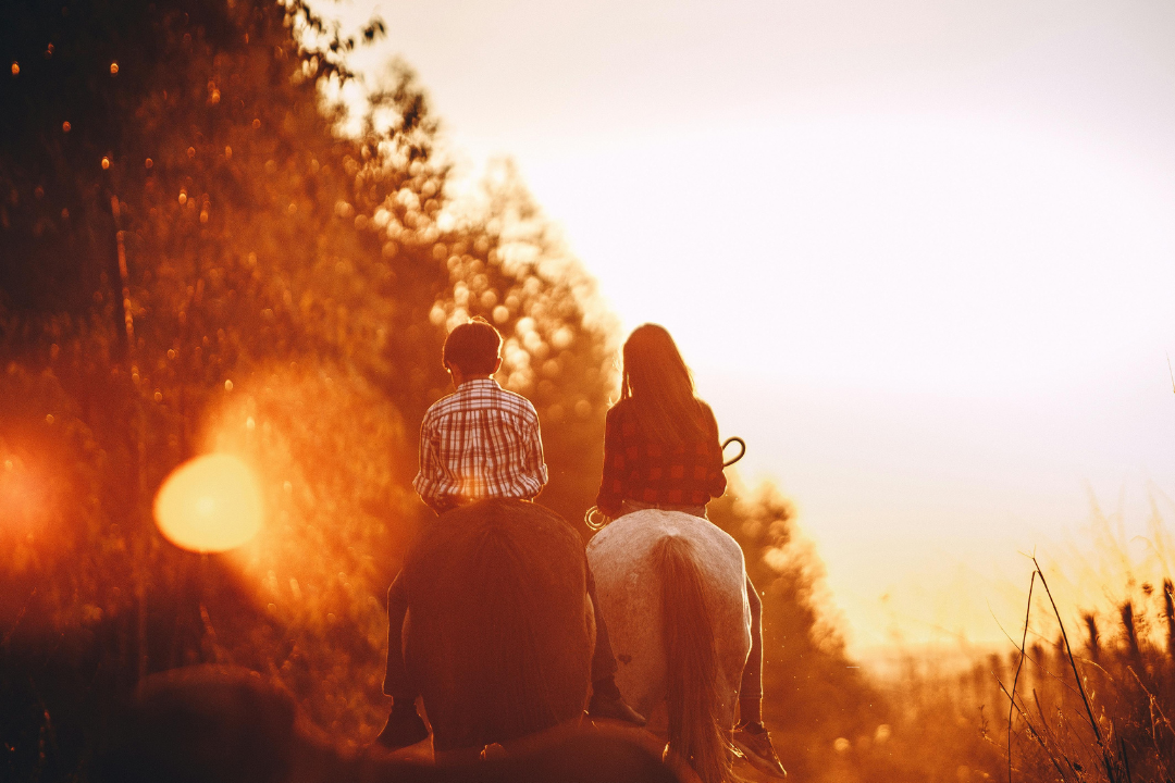 Lovastúra-vezető képzés – Szedres Major, Fót (kép)